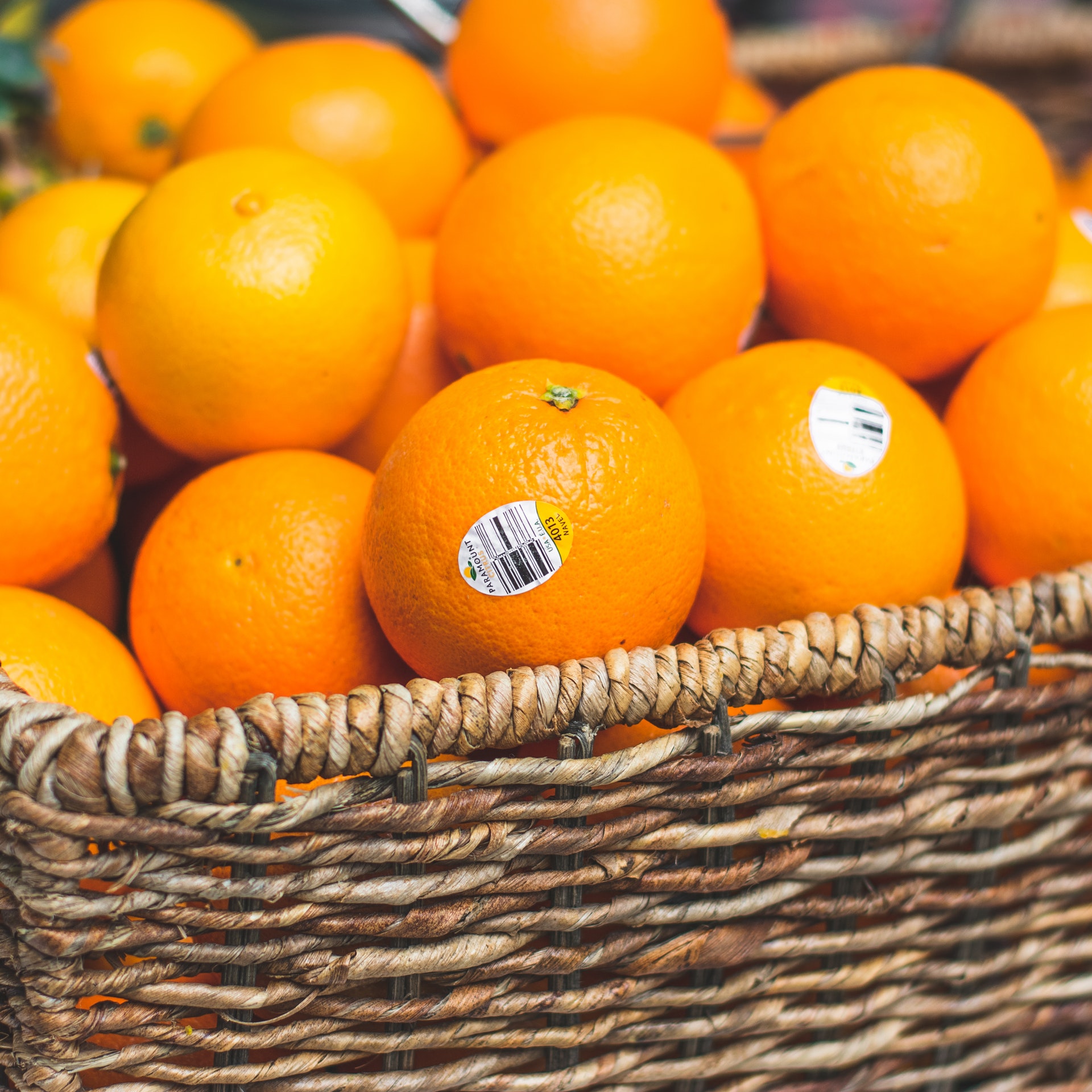 can-dogs-eat-oranges