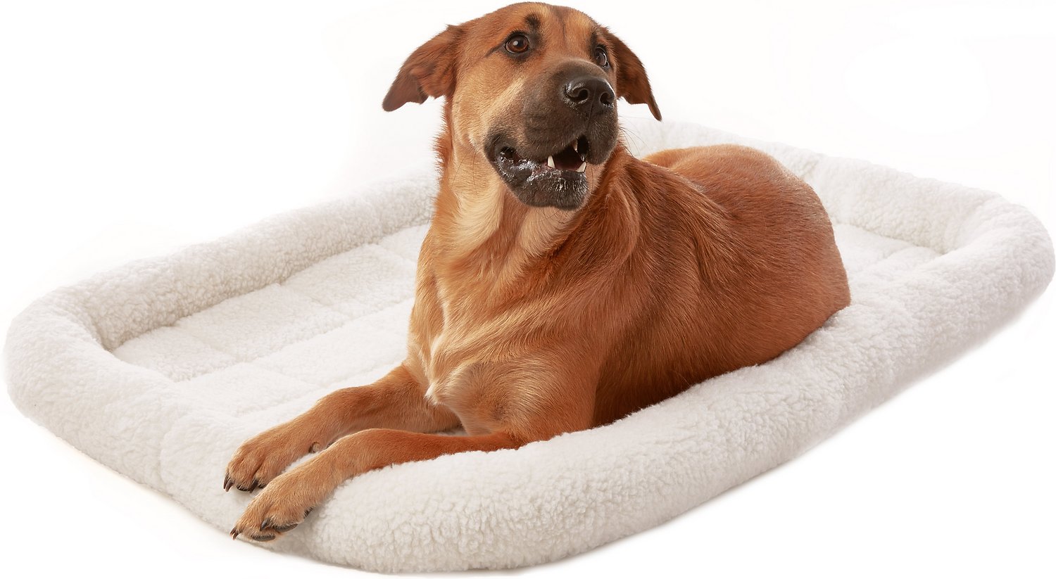 washable dog bed filling