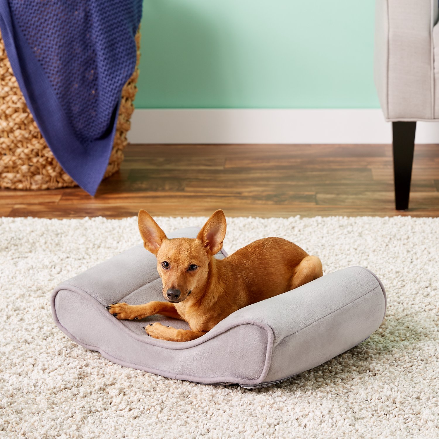 10 Of the Best Washable Dog Beds Under $70 - Giggle Pets