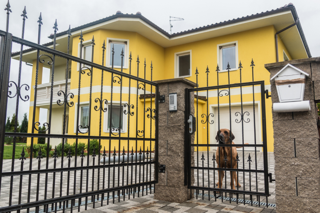 7 Best Guard Dogs For Families Giggle Pets