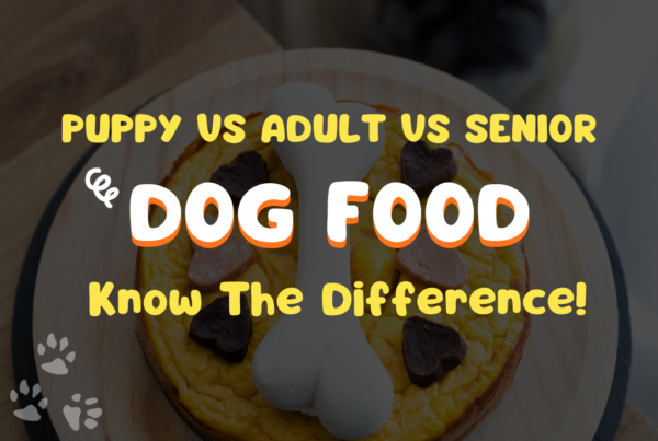 What Is The Difference Between Puppy, Adult, And Senior Dog Foods?