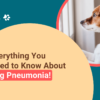 My Dog Has Pneumonia - What Should I Do?