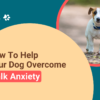 How to Help Your Dog Overcome Walk Anxiety